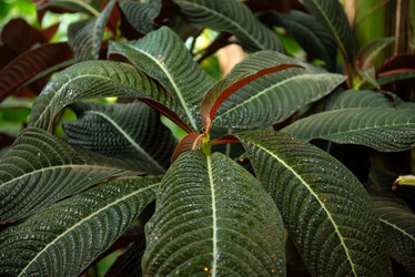 Similar image 21452471