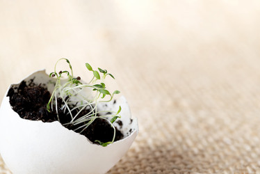 Similar image 21452472