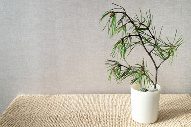 Similar image 21452473