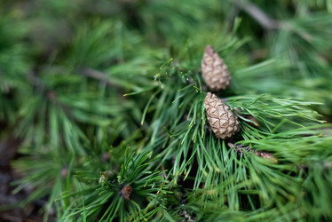 Similar image 21452474