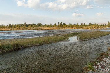 Similar image 21452021