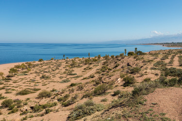 Similar image 21451939