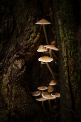 Similar image 21454458