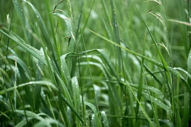 Similar image 21452476