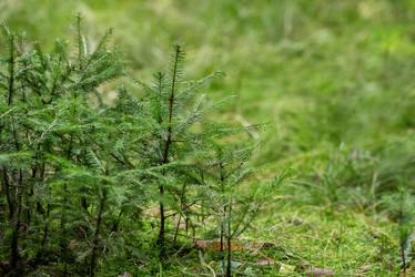 Similar image 21452480