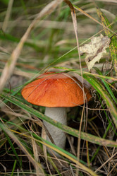 Similar image 21462636