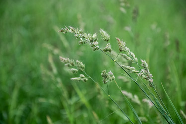 Similar image 21452482