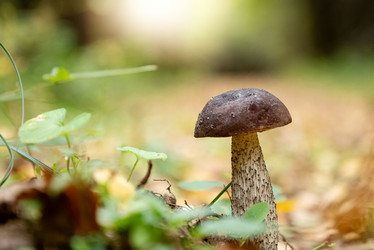 Similar image 21460165