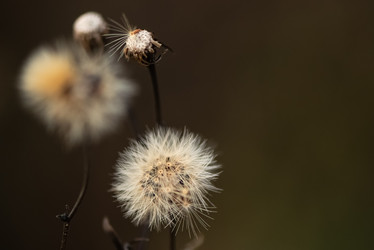 Similar image 21454625