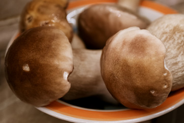 Similar image 21460168