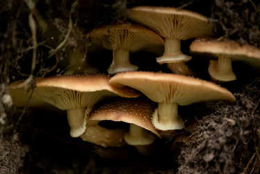 Similar image 21462639