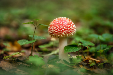 Similar image 21460169