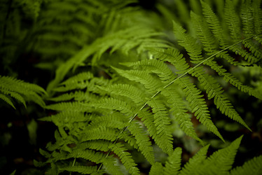 Similar image 21456356