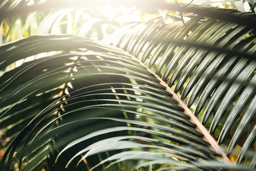 Similar image 21452532