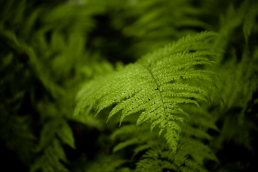 Similar image 21454630