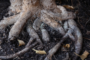 Similar image 21452533