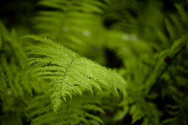 Similar image 21452534