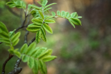 Similar image 21452537