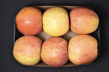 Similar image 21452763