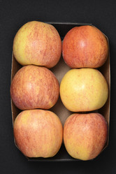 Similar image 21452764