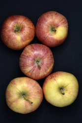 Similar image 21452767