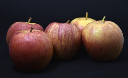 Similar image 21452768