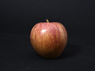 Similar image 21452770