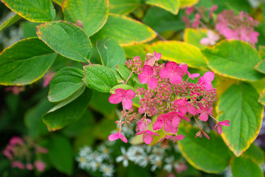 Similar image 21454459