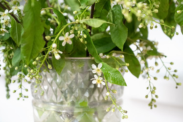 Similar image 21454464