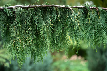 Similar image 21456357