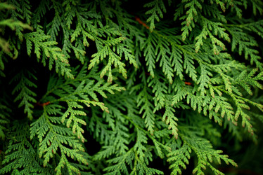 Similar image 21454466