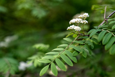 Similar image 21456358