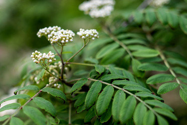 Similar image 21454468