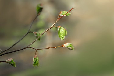 Similar image 21454470