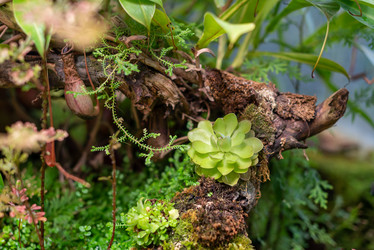 Similar image 21454476