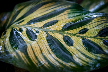 Similar image 21454477