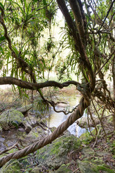 Similar image 21454481