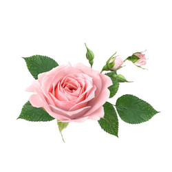 Similar image 21456361