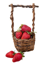 Similar image 21454487