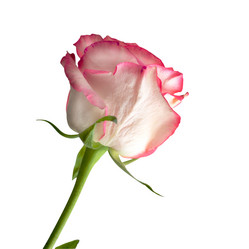 Similar image 21456371