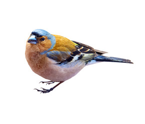 Similar image 21454500