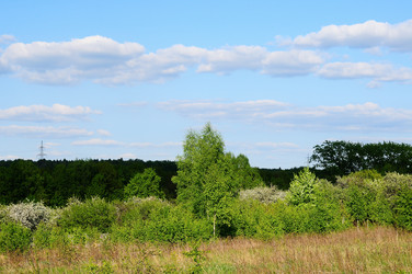 Similar image 21452748