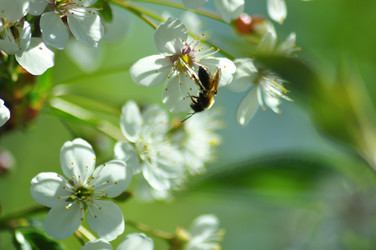 Similar image 21452749