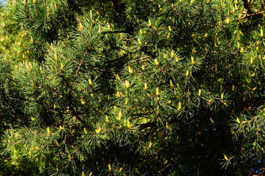 Similar image 21452750