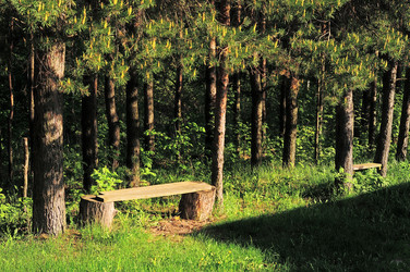 Similar image 21452752