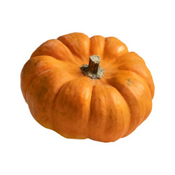 Similar image 21465679