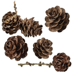 Similar image 21462673