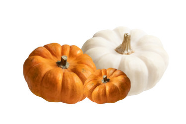 Similar image 21465680