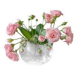 Similar image 21456383