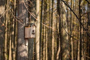 Similar image 21462501